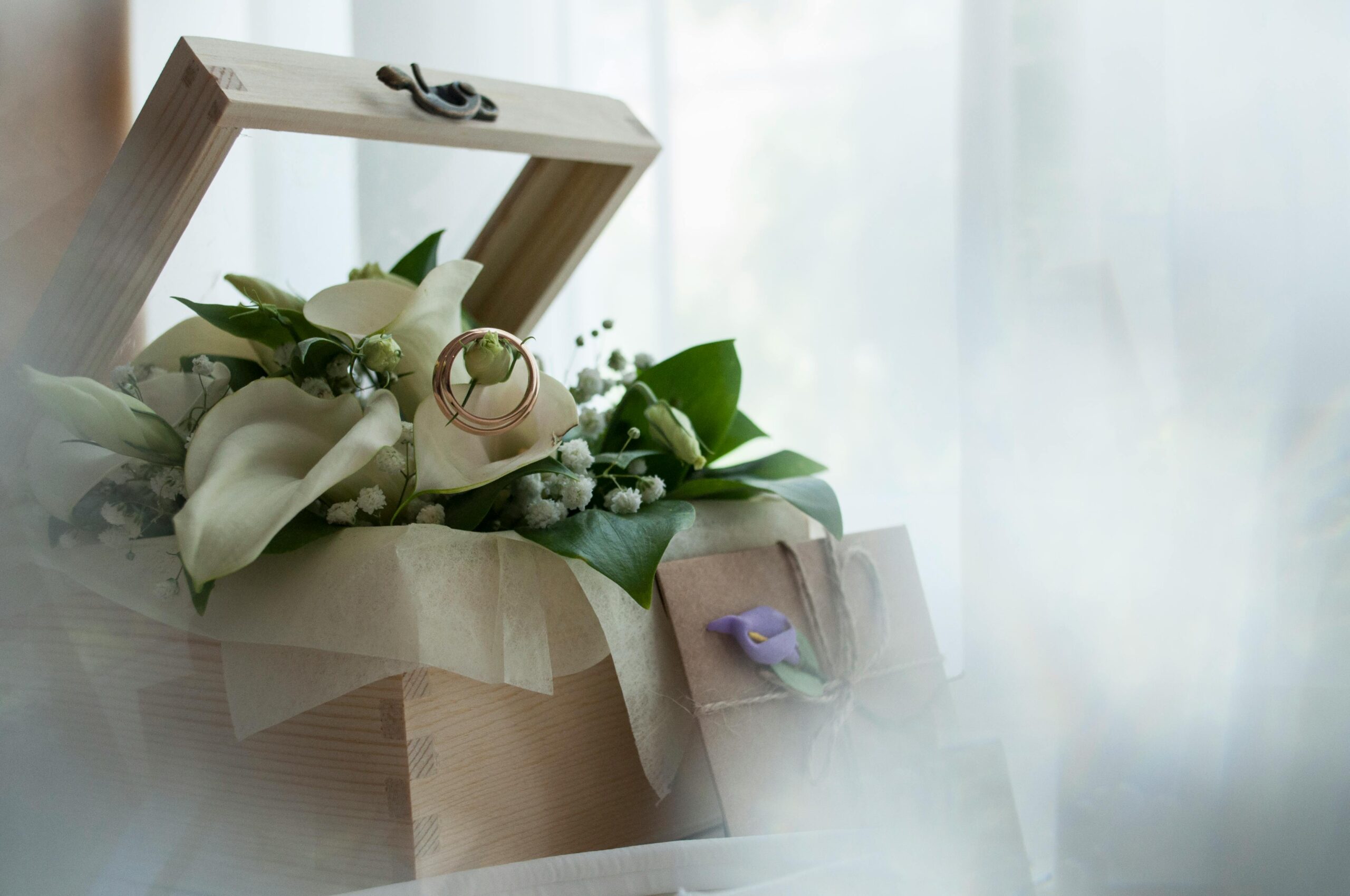 shop_banner_img1